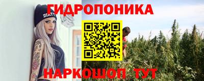 мдпв Абакан