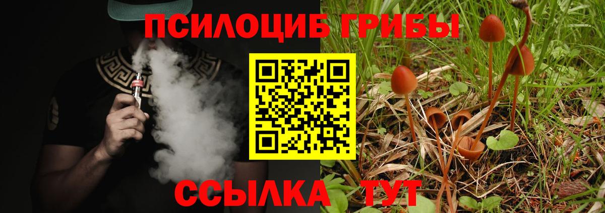Галлюциногенные грибы Psilocybe  Вход с VPN  Алатырь 